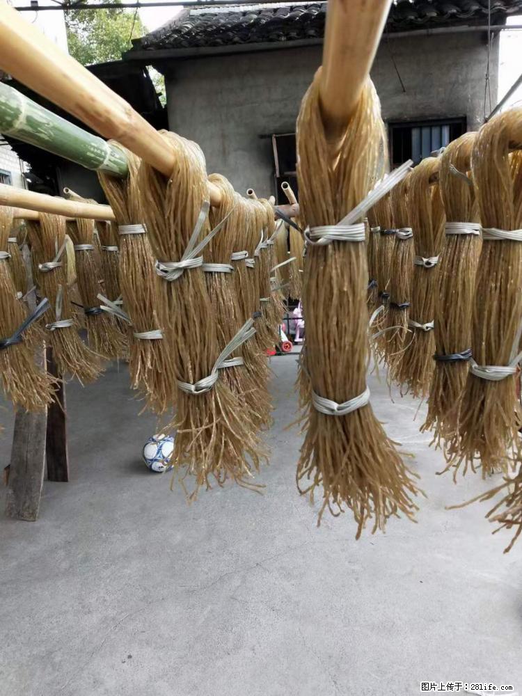 【灌阳正宗红薯粉】美女家里自己做的，干净卫生，假一赔十，价格合理，抢购电话：13737312895 - 美食天地 - 洛阳生活社区 - 洛阳28生活网 luoyang.28life.net