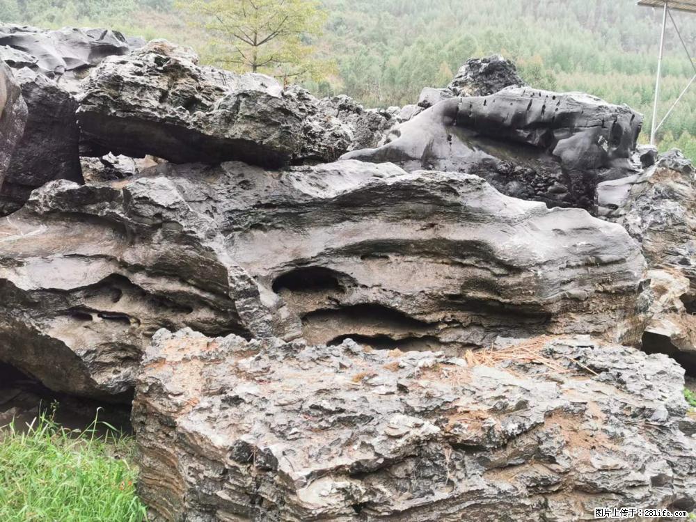 风景石、假山石大量有货，有需要的欢迎联系 - 新手上路 - 洛阳生活社区 - 洛阳28生活网 luoyang.28life.net