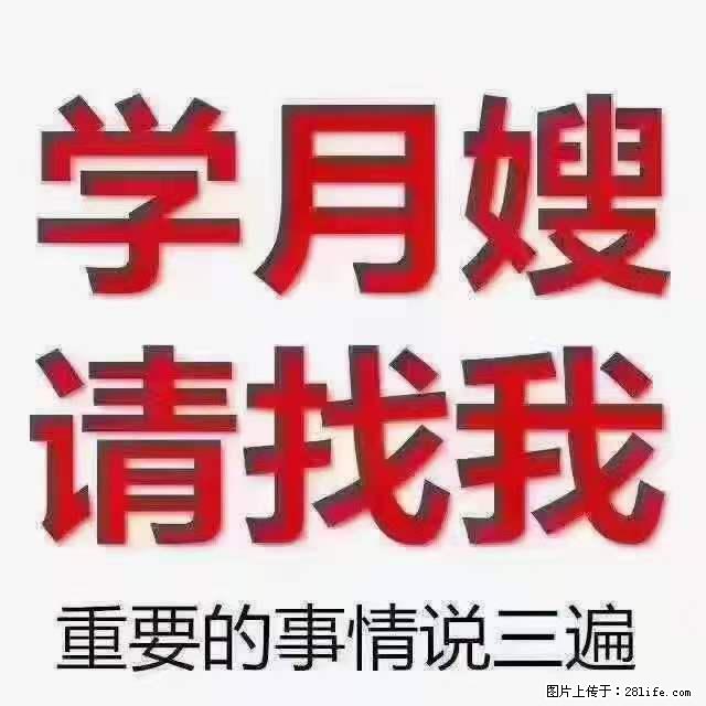 为什么要学习月嫂，育婴师？ - 新手上路 - 洛阳生活社区 - 洛阳28生活网 luoyang.28life.net