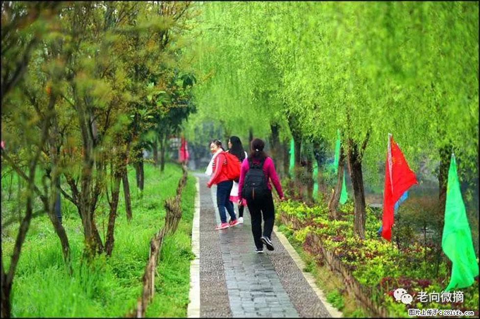 【春天，广西桂林灌阳县向您发出邀请！】江口老街又逢春 - 游山玩水 - 洛阳生活社区 - 洛阳28生活网 luoyang.28life.net