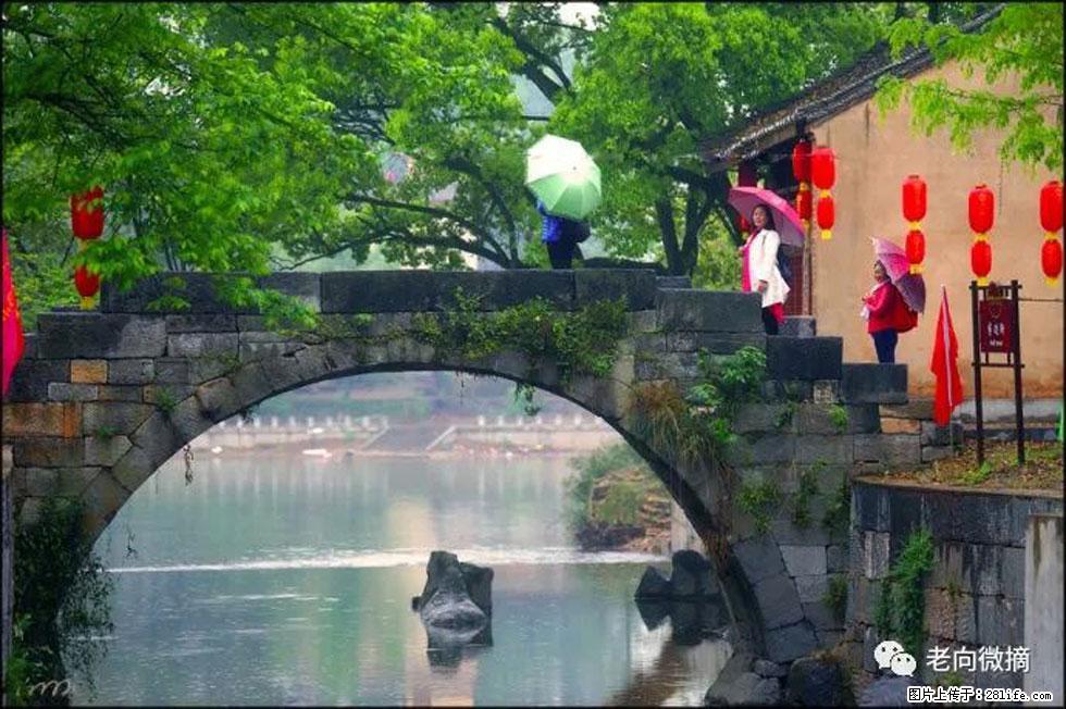 【春天，广西桂林灌阳县向您发出邀请！】江口老街又逢春 - 游山玩水 - 洛阳生活社区 - 洛阳28生活网 luoyang.28life.net