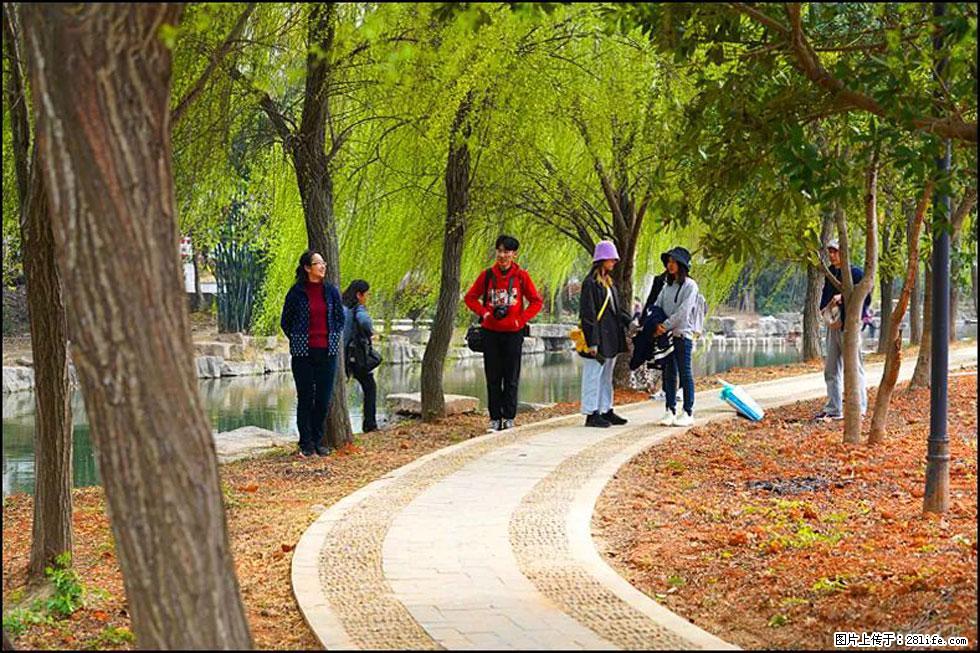 【春天，广西桂林灌阳县向您发出邀请！】江口老街又逢春 - 游山玩水 - 洛阳生活社区 - 洛阳28生活网 luoyang.28life.net