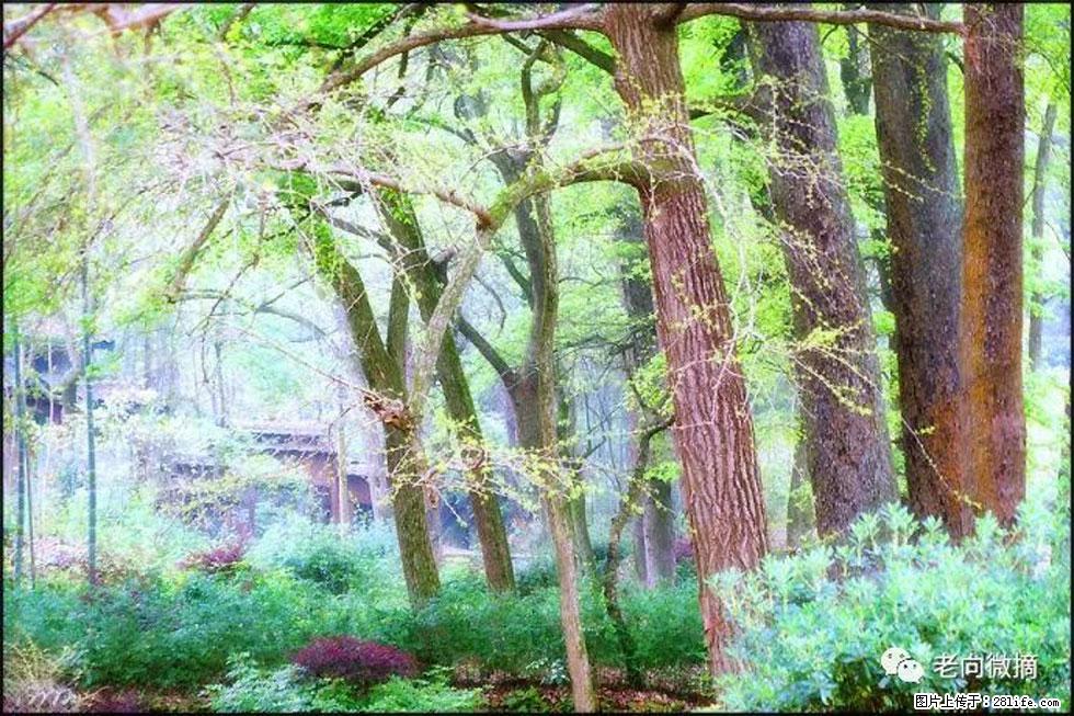 【春天，广西桂林灌阳县向您发出邀请！】在小龙村与春天约会 - 游山玩水 - 洛阳生活社区 - 洛阳28生活网 luoyang.28life.net