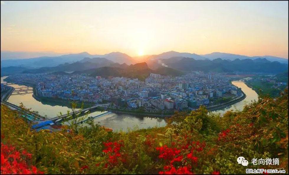 【春天，广西桂林灌阳县向您发出邀请！】登麒麟山，相约映山红 - 游山玩水 - 洛阳生活社区 - 洛阳28生活网 luoyang.28life.net
