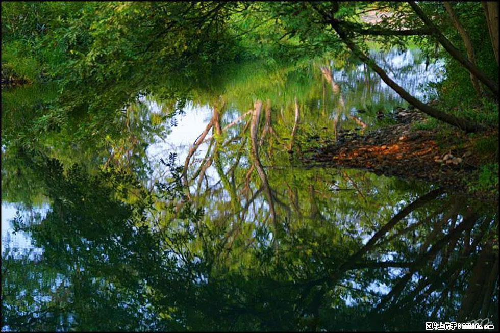【春天，广西桂林灌阳县向您发出邀请！】熊家寨湿地公园 - 游山玩水 - 洛阳生活社区 - 洛阳28生活网 luoyang.28life.net