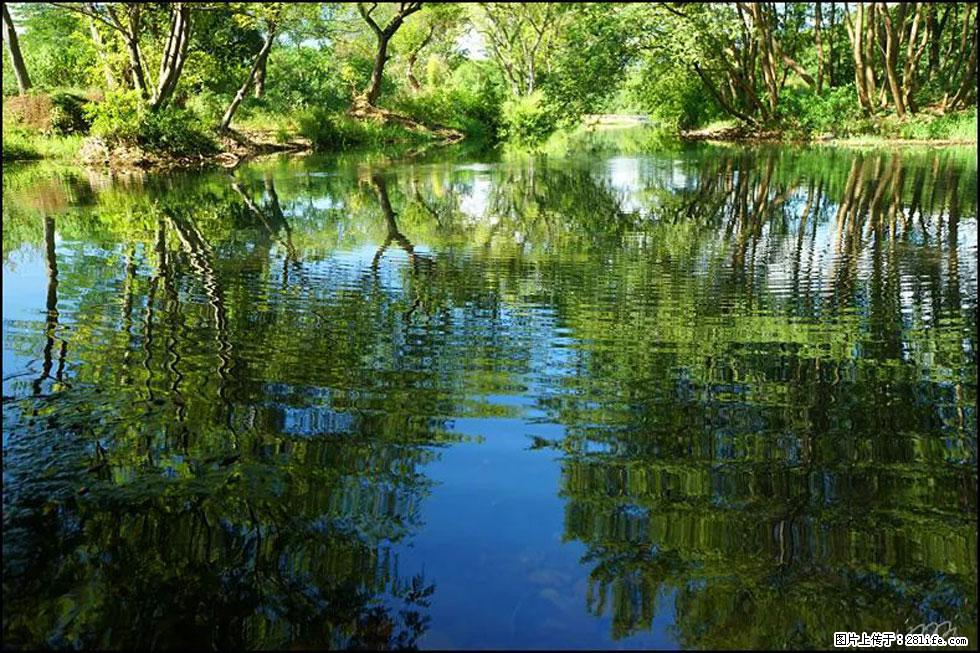 【春天，广西桂林灌阳县向您发出邀请！】熊家寨湿地公园 - 游山玩水 - 洛阳生活社区 - 洛阳28生活网 luoyang.28life.net