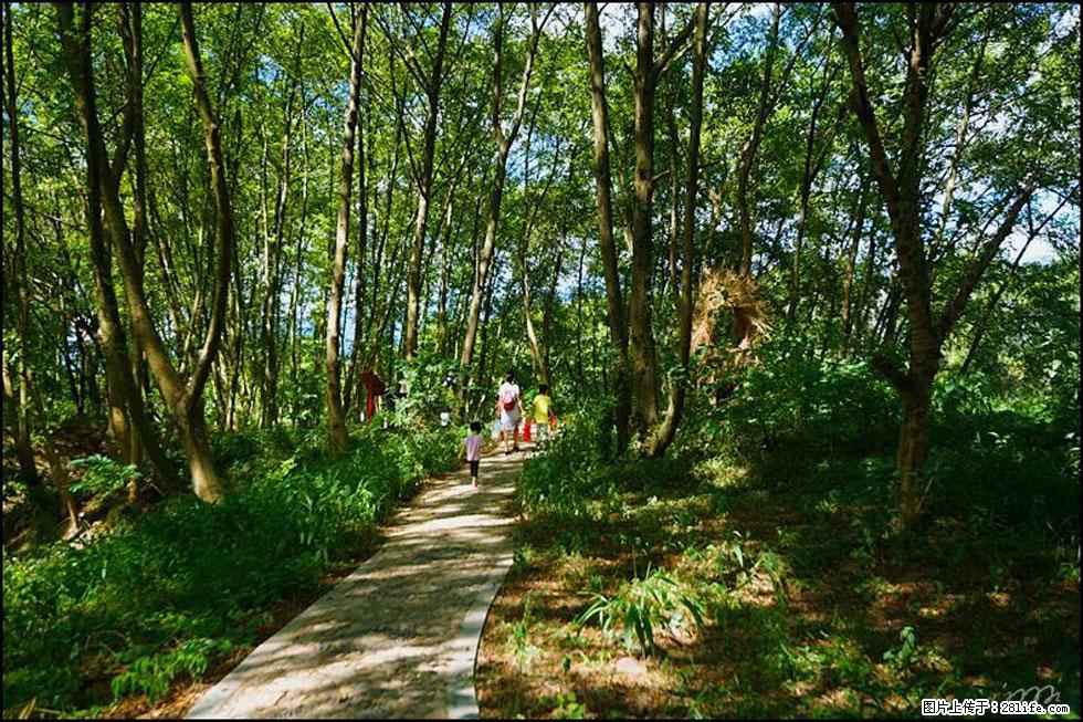 【春天，广西桂林灌阳县向您发出邀请！】熊家寨湿地公园 - 游山玩水 - 洛阳生活社区 - 洛阳28生活网 luoyang.28life.net