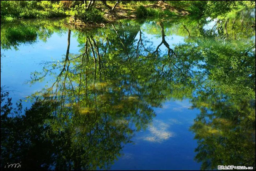 【春天，广西桂林灌阳县向您发出邀请！】熊家寨湿地公园 - 游山玩水 - 洛阳生活社区 - 洛阳28生活网 luoyang.28life.net