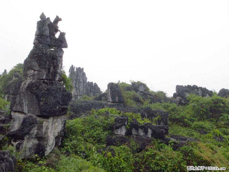 桂林旅游名城景点：灌阳文市石林 - 游山玩水 - 洛阳生活社区 - 洛阳28生活网 luoyang.28life.net