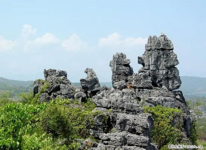 桂林旅游名城景点：灌阳文市石林 - 游山玩水 - 洛阳生活社区 - 洛阳28生活网 luoyang.28life.net