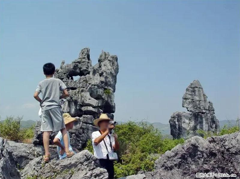 桂林旅游名城景点：灌阳文市石林 - 游山玩水 - 洛阳生活社区 - 洛阳28生活网 luoyang.28life.net