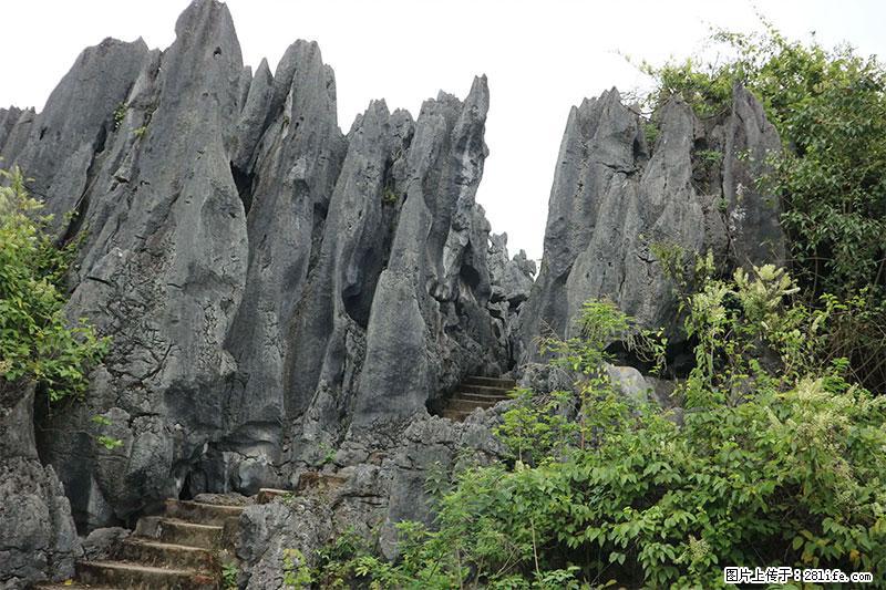 桂林旅游名城景点：灌阳文市石林 - 游山玩水 - 洛阳生活社区 - 洛阳28生活网 luoyang.28life.net