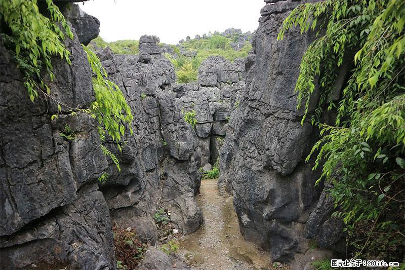 桂林旅游名城景点：灌阳文市石林 - 游山玩水 - 洛阳生活社区 - 洛阳28生活网 luoyang.28life.net