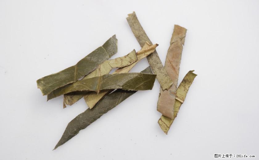 苦丁茶有哪些功效和作用 - 生活百科 - 洛阳生活社区 - 洛阳28生活网 luoyang.28life.net