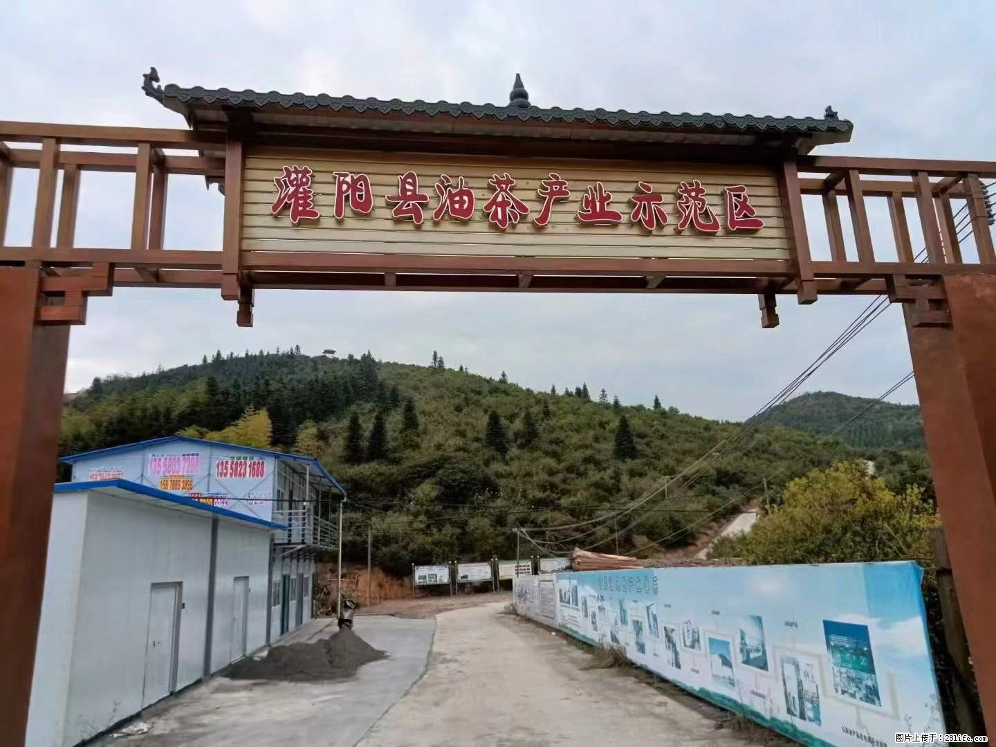 【灌阳县油茶产业示范区】一个有着充实的精神生活的人，对待身外之物自会有一种淡泊的态度 - 美食天地 - 洛阳生活社区 - 洛阳28生活网 luoyang.28life.net