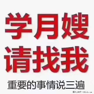 为什么要学习月嫂，育婴师？ - 洛阳28生活网 luoyang.28life.net