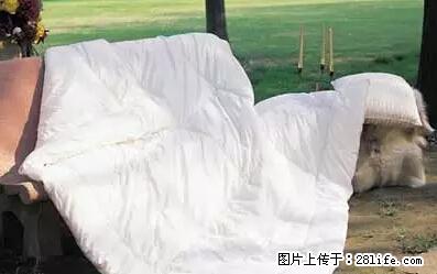 被子有异味？只要这样做，比晒太阳还强100倍！ - 家居生活 - 洛阳生活社区 - 洛阳28生活网 luoyang.28life.net