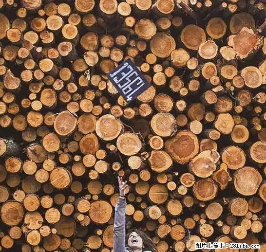 辞掉工作周游世界?现在他们在洗厕所…… - 游山玩水 - 洛阳生活社区 - 洛阳28生活网 luoyang.28life.net