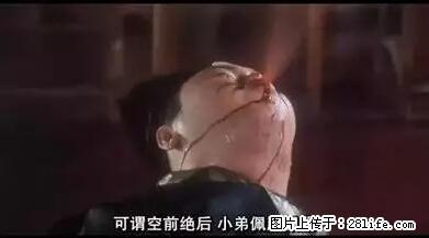 笑癫了！一女的怀孕三年未生，他终于忍不住了... - 娱乐八卦 - 洛阳生活社区 - 洛阳28生活网 luoyang.28life.net