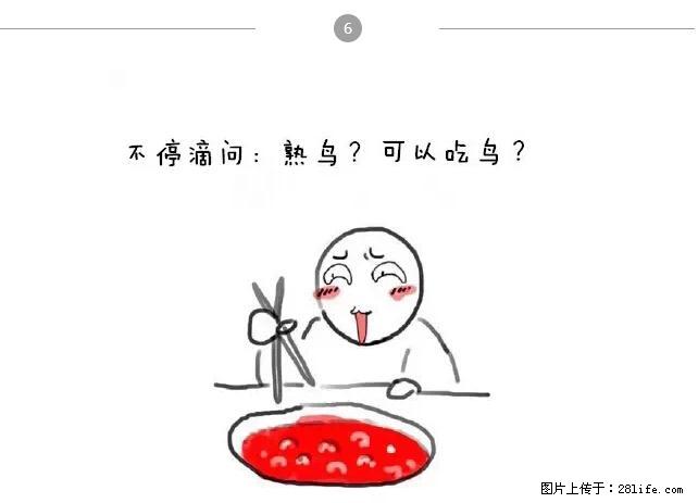 千万不要和这9种哈卵一起吃火锅！ - 美食天地 - 洛阳生活社区 - 洛阳28生活网 luoyang.28life.net