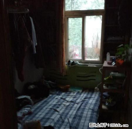 王城公园旁小区出租，两室600.楼下就是公交站 - 房屋出租 - 房屋租售 - 洛阳分类信息 - 洛阳28生活网 luoyang.28life.net
