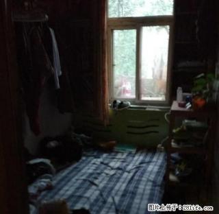 王城公园旁小区出租，两室600.楼下就是公交站 - 洛阳28生活网 luoyang.28life.net