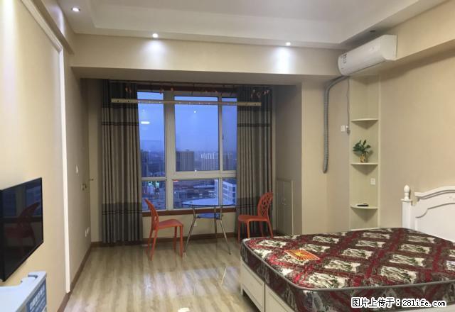 宝龙公寓精装全齐 拎包入住真实房源公主房 全新出租 舒适温馨 - 房屋出租 - 房屋租售 - 洛阳分类信息 - 洛阳28生活网 luoyang.28life.net