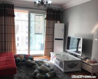 宝龙住宅 至好户型朝阳 不用暖气就朝阳 家电齐全 全新出租 - 洛阳28生活网 luoyang.28life.net