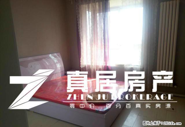 建业壹号城邦精装修2室出租 - 房屋出租 - 房屋租售 - 洛阳分类信息 - 洛阳28生活网 luoyang.28life.net