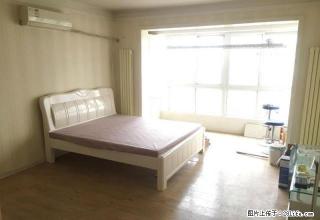 南昌路万达广场 小区内精装一室 双气 拎包入住 独厨独卫 - 洛阳28生活网 luoyang.28life.net