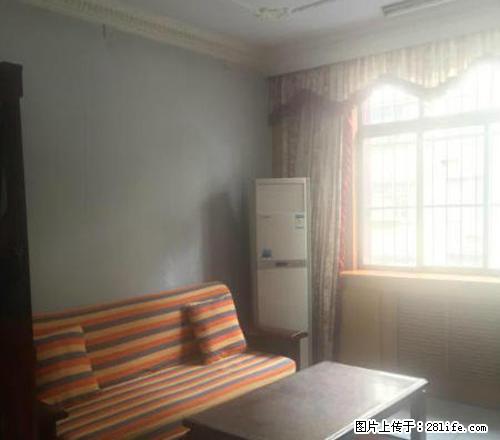 西工613家属院 90平方2室2厅好房不贵 拎包入住随时看房 - 房屋出租 - 房屋租售 - 洛阳分类信息 - 洛阳28生活网 luoyang.28life.net