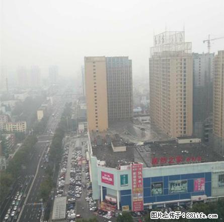 抢 抢 抢 中迈红东方75平方好房 一口价1400元挥泪出租 - 房屋出租 - 房屋租售 - 洛阳分类信息 - 洛阳28生活网 luoyang.28life.net