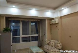泉舜正大旁 宝龙精装1室1厅 家电家具齐全 拎包入住 - 洛阳28生活网 luoyang.28life.net
