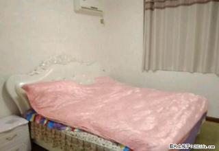 西工 精装两室4楼拎包入住 - 洛阳28生活网 luoyang.28life.net