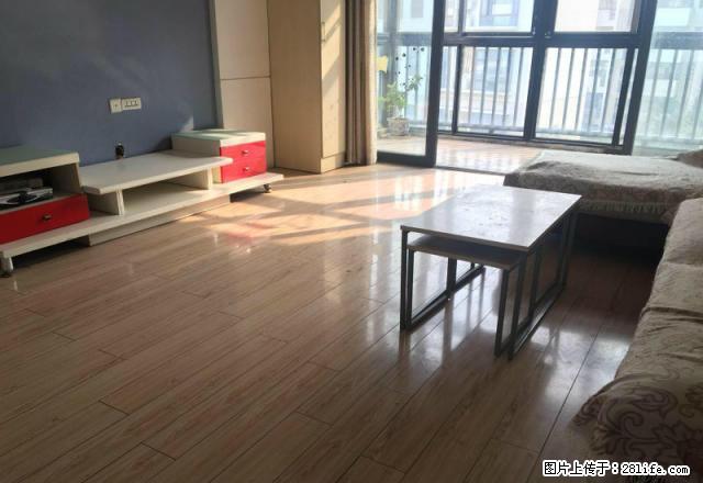 上海市场+联盟路+武汉路+香港城+阳光房错层精装拎包住 - 房屋出租 - 房屋租售 - 洛阳分类信息 - 洛阳28生活网 luoyang.28life.net