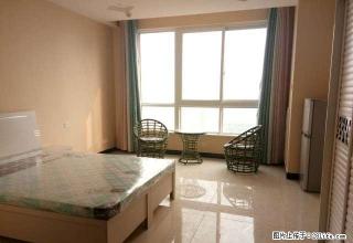 宝龙城市广场，精装公寓拎包入住，1050元一个月， - 洛阳28生活网 luoyang.28life.net