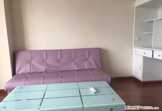 宝龙F座朝北 精装一室一厅 可押一付一 可短租 - 洛阳28生活网 luoyang.28life.net