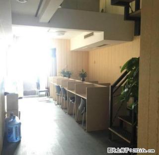 无中介费万国银座 复式两居 办公 急租！ 牡丹广场旁 - 洛阳28生活网 luoyang.28life.net