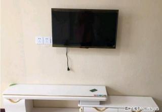 宝龙三期壁纸房 精装一室一厅 家具家电齐全拎包住 超便宜急租 - 洛阳28生活网 luoyang.28life.net