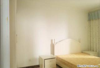 上海市场+武汉路+香港城+两室+双气+家具家电齐全+拎包入住 - 洛阳28生活网 luoyang.28life.net