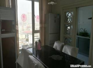世纪华阳 精装修 家电齐全 南北通透 双气 业主实心出租 - 洛阳28生活网 luoyang.28life.net