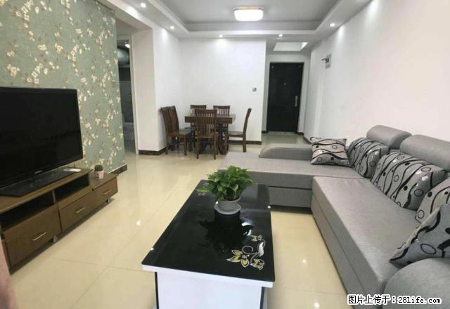 龙康B区 精装二室 年底急租 家私齐全 随时看房 - 房屋出租 - 房屋租售 - 洛阳分类信息 - 洛阳28生活网 luoyang.28life.net