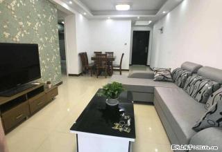 龙康B区 精装二室 年底急租 家私齐全 随时看房 - 洛阳28生活网 luoyang.28life.net