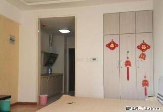 泉舜正大宝龙 精装公寓 可短租押一付一 朝阳户型 随时看 - 洛阳28生活网 luoyang.28life.net