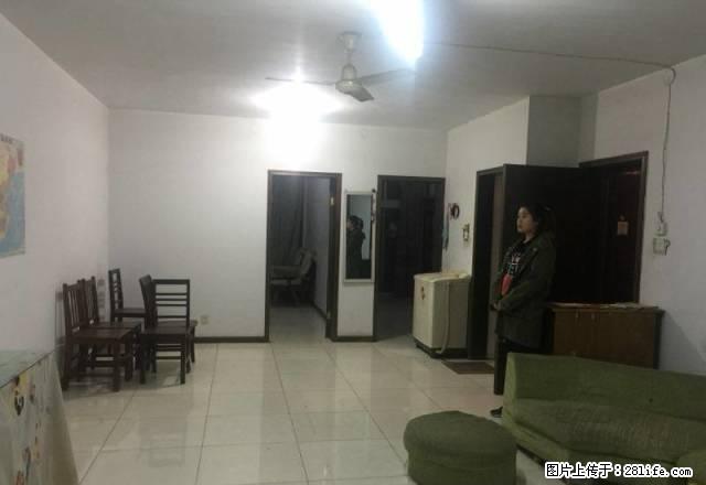 南昌路小学对面春光园四楼三室急出租 - 房屋出租 - 房屋租售 - 洛阳分类信息 - 洛阳28生活网 luoyang.28life.net