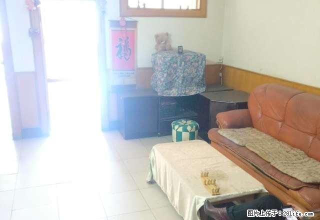 (单间出租)纱厂北路公交公司家属院两室房子，可自己住也可一家人住。 - 房屋出租 - 房屋租售 - 洛阳分类信息 - 洛阳28生活网 luoyang.28life.net