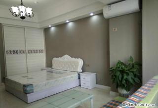 宝龙F精装一室家具家电齐全看房方便 - 洛阳28生活网 luoyang.28life.net