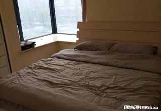 世纪华阳 精装修 家具家电齐全 拎包入住 价格超低 可小刀 - 洛阳28生活网 luoyang.28life.net