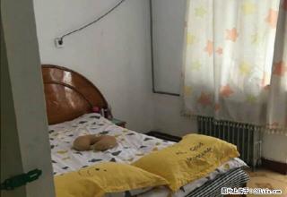 南昌路 丹尼斯 鸿运小区 两室双气 精装4楼 拎包入住 - 洛阳28生活网 luoyang.28life.net