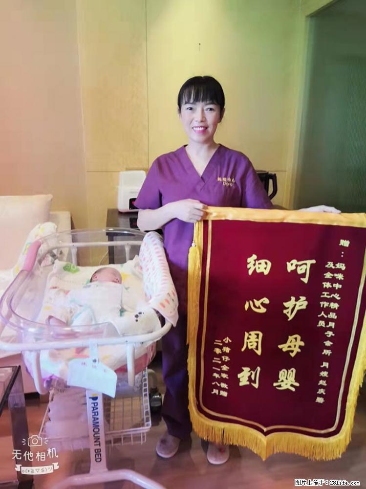上海高端月子会所招新手月嫂，零基础带教，包吃住 - 职场交流 - 洛阳生活社区 - 洛阳28生活网 luoyang.28life.net